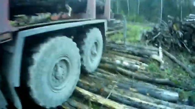 Поездка за пиловочником. Укладка лежнёвки.