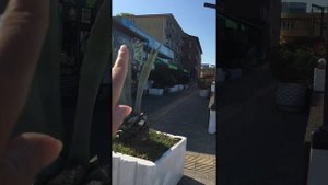 Адлер Гостевой дом ОГОНЕК