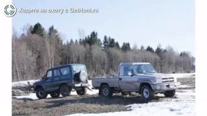 Охота в Тверской области – Охотничье хозяйство "Белка" охота на тетерева в Тверской области