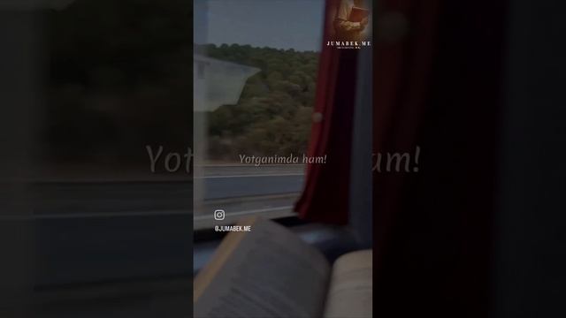 VID_34231019_125536_964.mp4