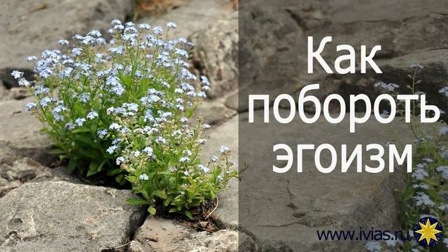 Как побороть эгоизм | Книга жизни