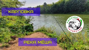 Карповка, река Мёша, Республика Татарстан (Karpovka, Mesha River, Republic of Tatarstan)
