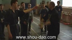 ШОУ ДАО / Постановка структуры тела. Часть 1.