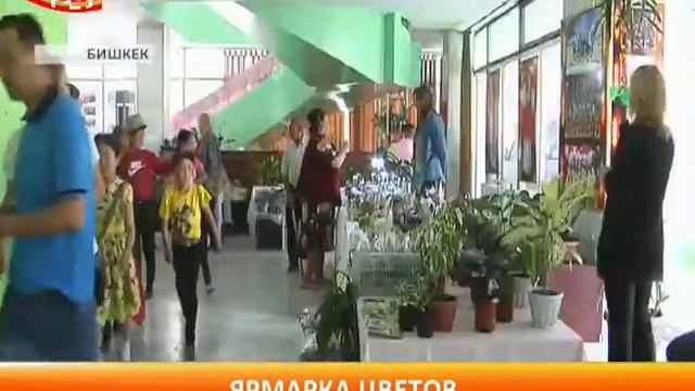 7 августа 2017 г. смотреть онлайн