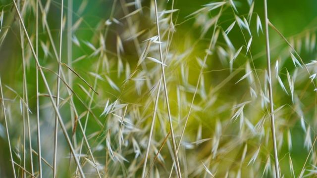 Как фразы программируют.mp4 смотреть онлайн