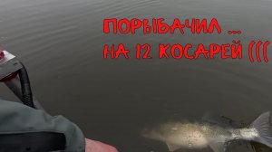 Порыбачил... на 12 косарей