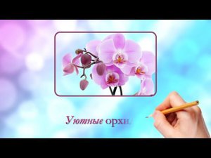 Курс по созданию рисованного видео в PowerPoint