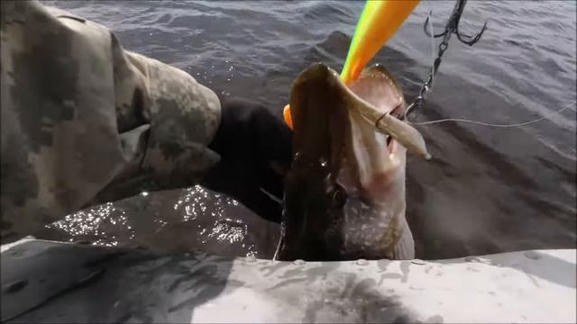 Проба на зуб! Резиновая приманка Jaws Machine Curly Tail смотреть онлайн