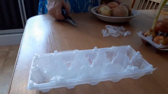 грядка лука на окне смотреть онлайн