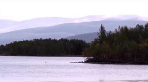 Молча, фрагменты 2020-2022.