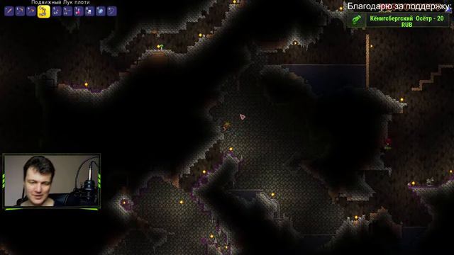 Terraria прохождение в коопе со зрителями сложность мастер