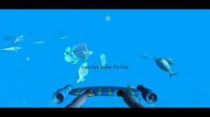 SCUBA DIVING SIMULATOR GAME