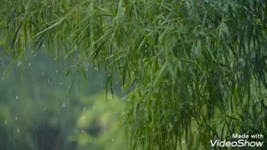 Красивая музыка для сна со звуком дождя