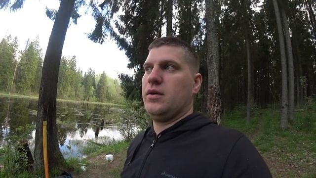 Озеро в лесу гатчинского района. Рыбалка на новом месте. #рыбалкавгатчине #рыбалканажерлицы