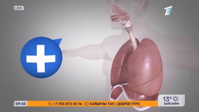 КАК СОХРАНИТЬ ЗДОРОВЬЕ ЛЁГКИХ НА ВСЮ ЖИЗНЬ  ПОЛЕЗНЫЕ СОВЕТЫ ПУЛЬМОНОЛОГА ИЗ АЛМАТЫ