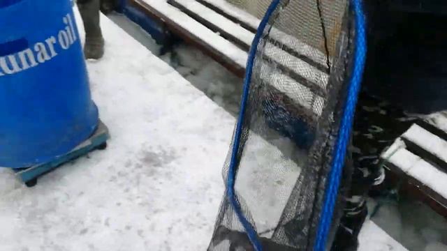 Рыбин Гуд Ильинское. Утреннее зарыбление форелью смотреть онлайн