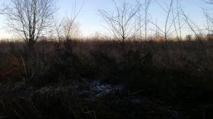 Заорешье 14 га ДНП Лужский район