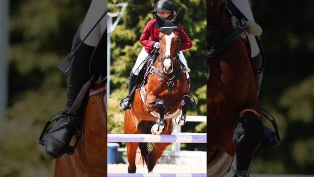 Твой путь не виден окружающим, но ты точно его ощущаешь #конныйспорт #лошади #конкур смотреть онлайн