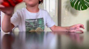 Plants vs zombies - Обзор фигурок с алиэкспресс (ГАРГАНТЮА и ЗОМБОСС)