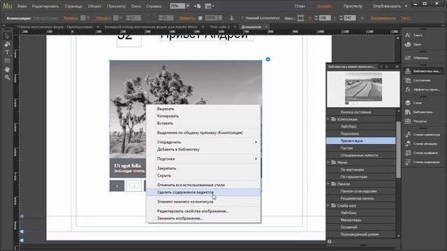 Обзор версии Adobe Muse 2014.3.0.1176 смотреть онлайн