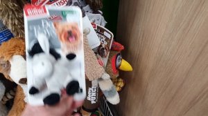 Зоомагазин 4 Лапы: шапочка, платьишко и золотой петушок для французского бульдога