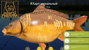 оз. Медвежье / КАРП 5.5 КГ / ВОЛОСЯНАЯ ОСТАСТКА / БОЙЛЫ ⚓ Russian Fishing 4