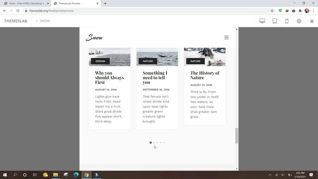 Snow : Free HTML5 Bootstrap 4 personal portfolio website template смотреть онлайн