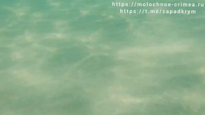 Евпатория, п.Заозёрное - Центр спорта Эволюция, Ветраморе, Лазурный берег - 6 июля 2023 г.