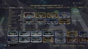 Warframe Амбассадор обзор/билд/тест вердиктвранг
