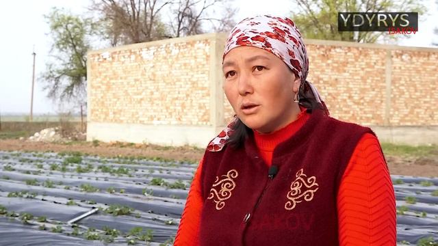 АЛТЫ ЖЫЛ КАТ ЖАЗЫП, АКЫЙКАТКА ЖЕТПЕГЕН ЭНЕ / ЫДЫРЫС ИСАКОВ