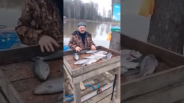 Классная рыбалка в Щеглятьево!!!