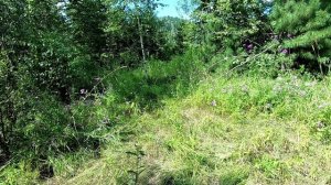 18,07,2020 Вело поход Томь