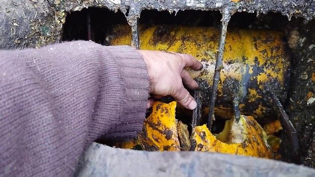 Огляд гарбузового комбайна електро.