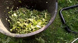 Измельчитель электрический ELITECH ИВС 2400, 2400 Вт