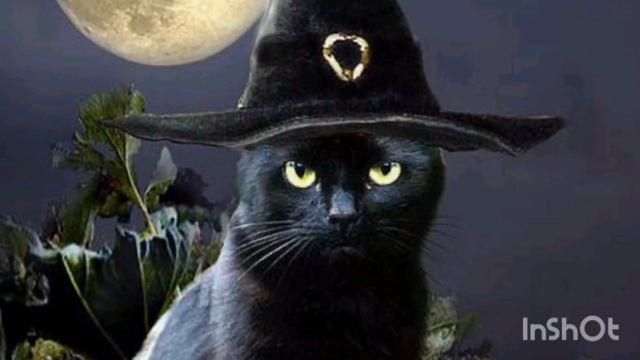 Скоро хэллоуин вот я решила сделать заранее видео Danny Elfman - This Is Halloween[по заказу]✨✨✨??? смотреть онлайн