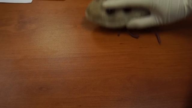 Камера нового iPad 3 VS камера iPad 2 (New iPad 3 camera VS iPad 2 camera) смотреть онлайн