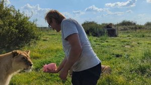 Бесславный конец резиновой свинки