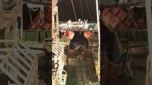 Выборка трала Тихий океан промысел минтая