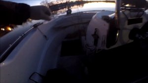 Утренний судак. #Garmin GPSMAP 1223 xsv #panoptix #livescope