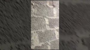 лучшая приточно- вытяжная вентиляция подвала!