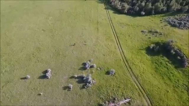 Очередное «доказательство» существования снежного человека смотреть онлайн