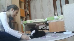 Дрессировка кошек||Как научить кошку команде ЛЕЖАТЬ|