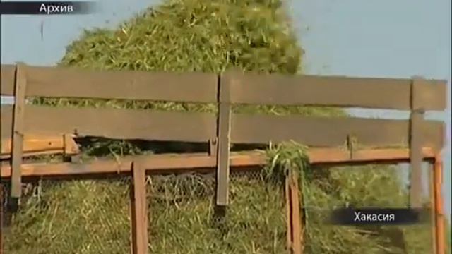 Налоги фермеров Хакасии могут пойти в местные бюджеты