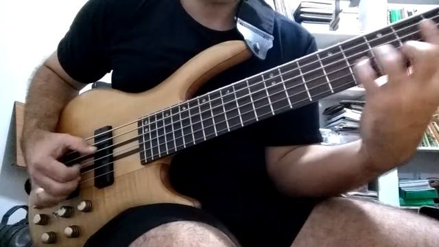Cort A6 - 6 string Bass - chords solo смотреть онлайн