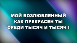 Мой возлюбленный