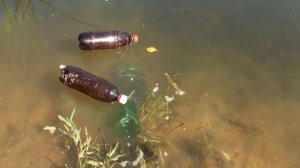 Рыбалка без удочки на бутылку Plastic bottle fishing