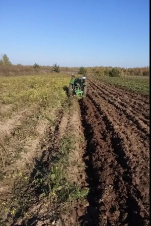2021 Октябрь. Урожай продан, снова пора пахать