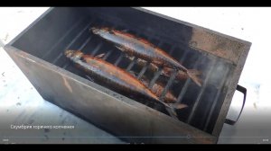 Скумбрия горячего копчения, в коптильне. Простой рецепт.