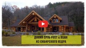 Дикий сруб POST & BEAM из Сибирского кедра