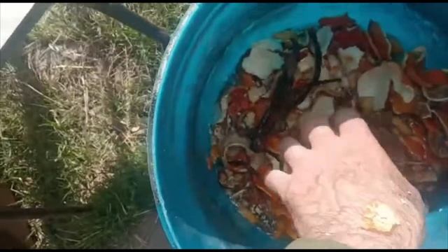 Сердцеед и Минусинские стаканы смотреть онлайн